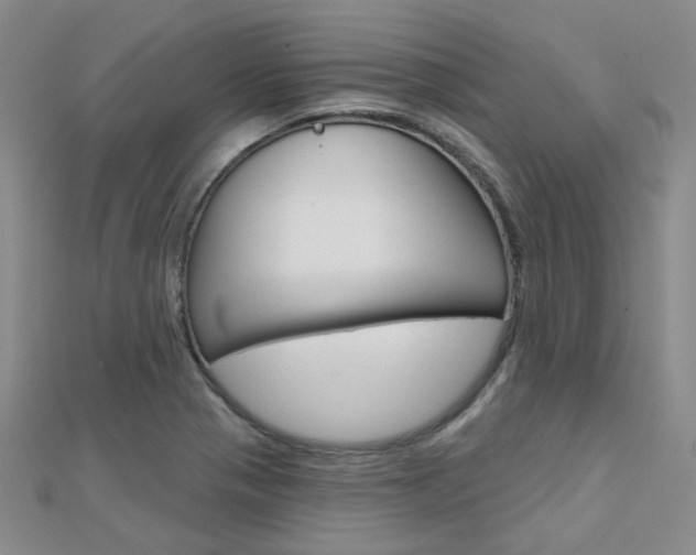 X0000112161321200908070930