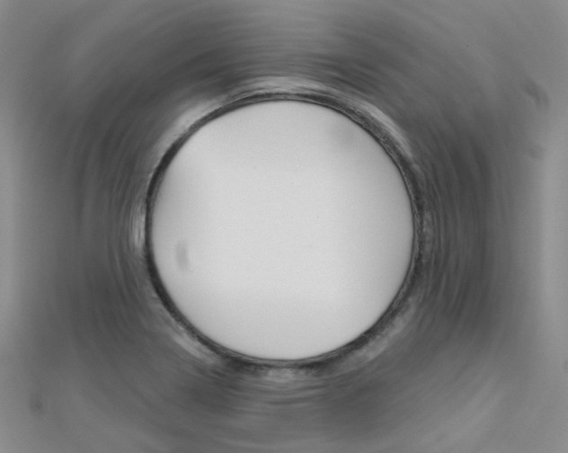 X0000112161322200908070930