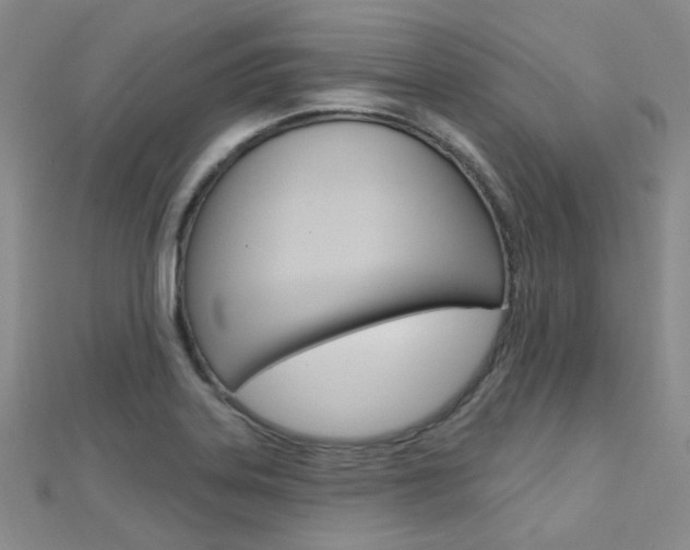 X0000112161323200908070930