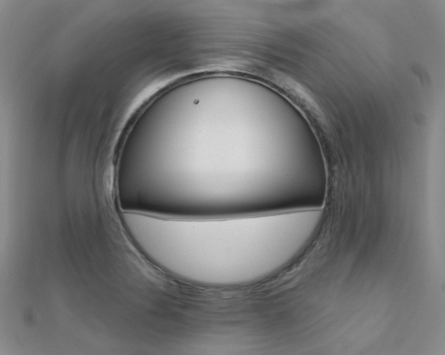 X0000112161324200908070930