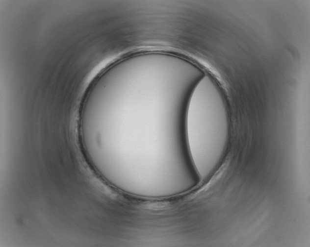 X0000112161325200908070930