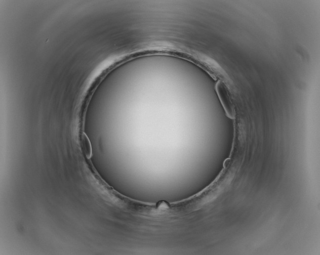 X0000112161326200908070930