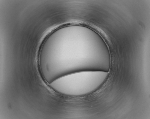 X0000112161327200908070930