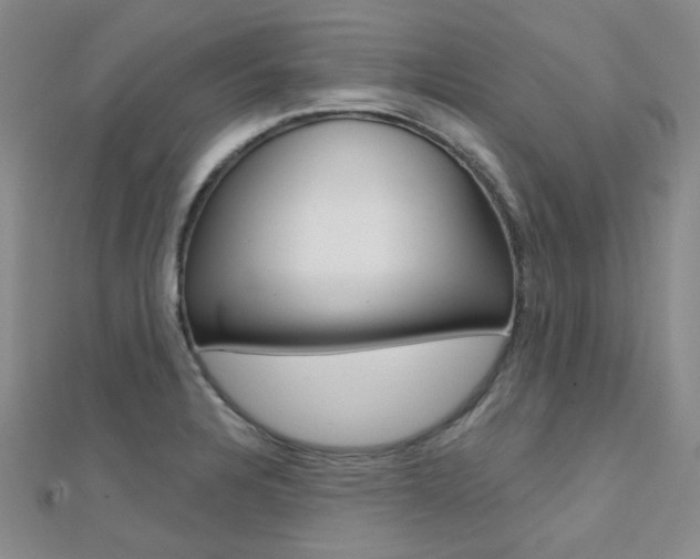 X0000112161328200908070930