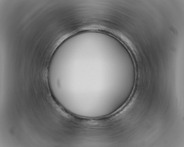X0000112161329200908070930