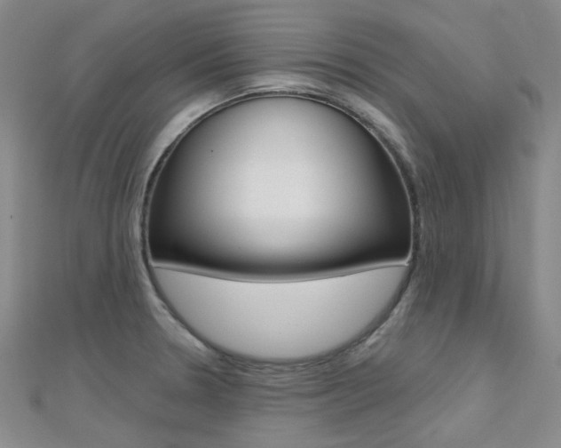 X0000112161330200908070930