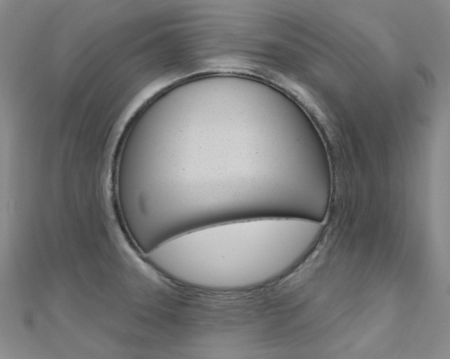 X0000112161331200908070930