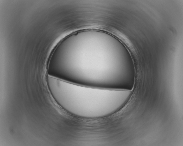 X0000112161332200908070930