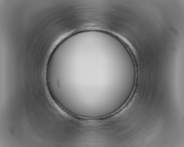 X0000112161333200908070930
