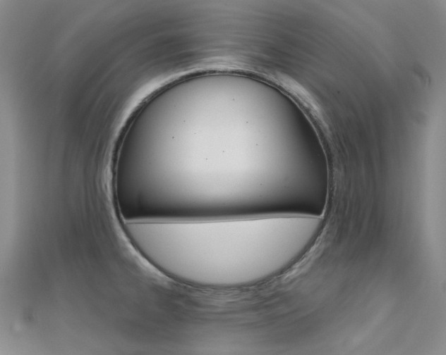 X0000112161334200908070930