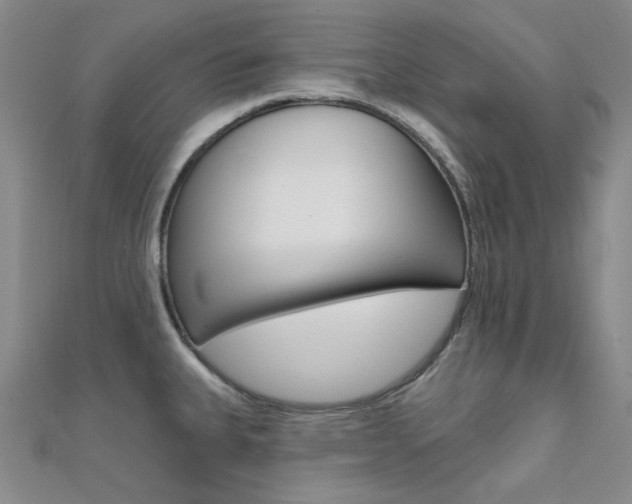 X0000112161335200908070930
