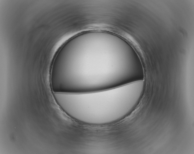 X0000112161336200908070930