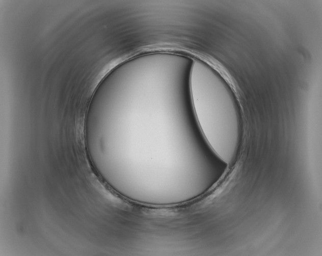 X0000112161337200908070930