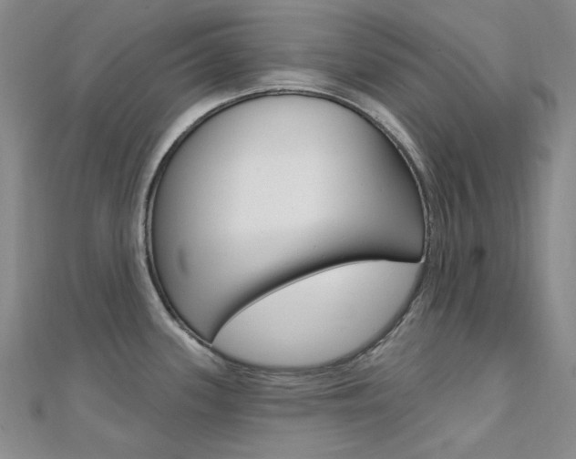 X0000112161339200908070930