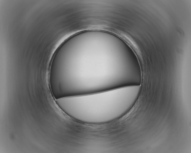 X0000112161340200908070930