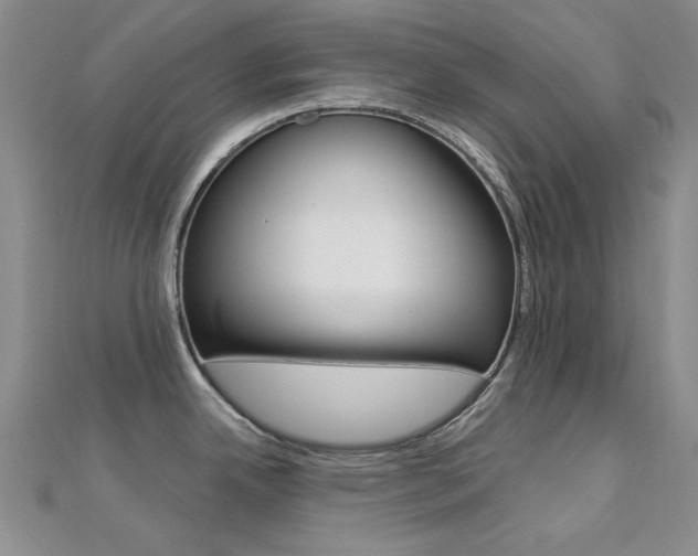 X0000112161342200908070930