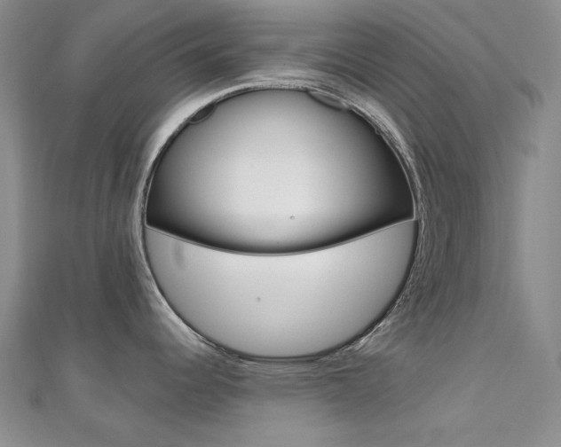 X0000112161344200908070930