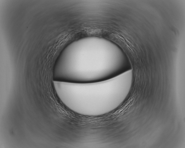 X0000112161345200908070930