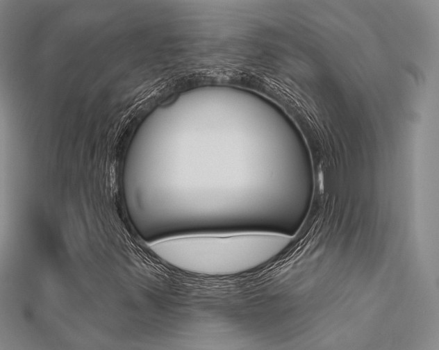 X0000112161347200908070930