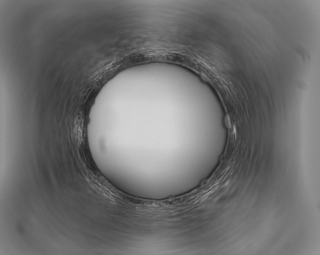 X0000112161348200908070930