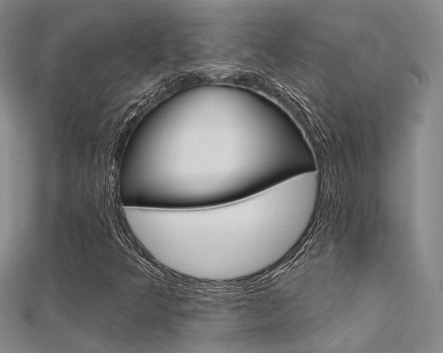 X0000112161349200908070930