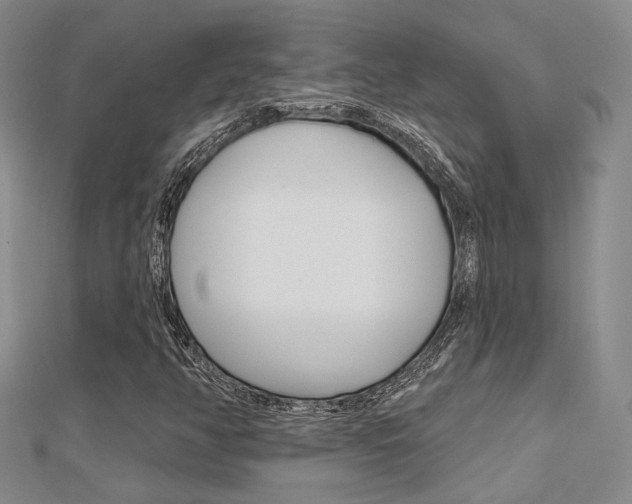 X0000112161350200908070930