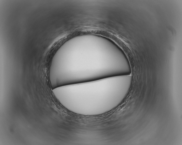 X0000112161351200908070930
