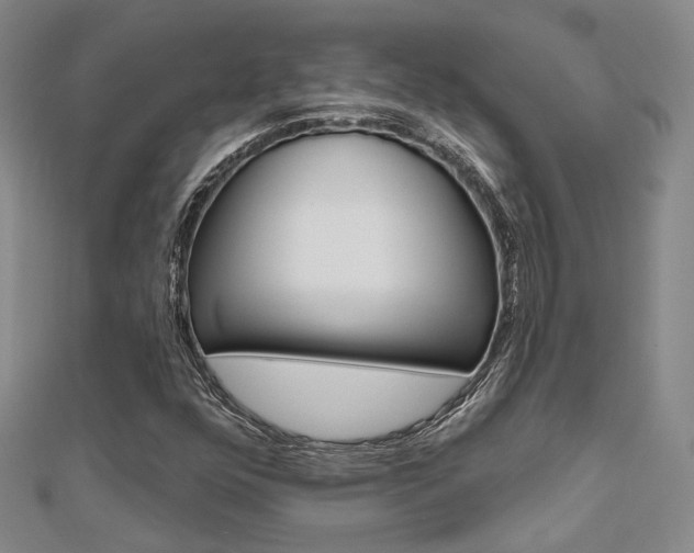 X0000112161352200908070930