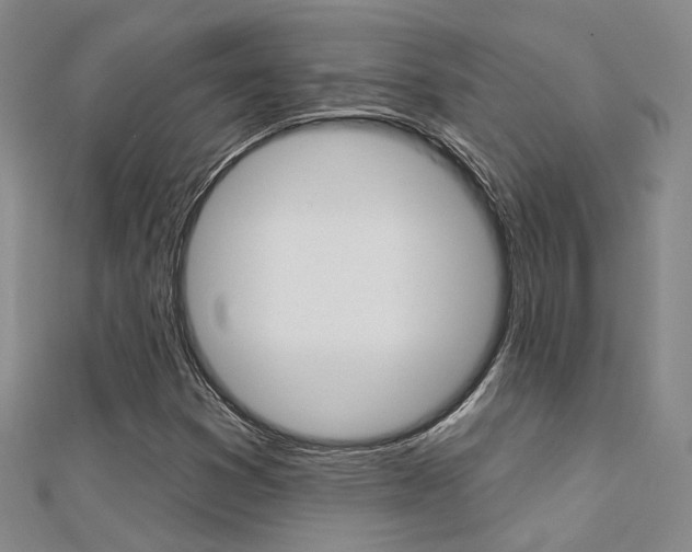 X0000112161353200908070930