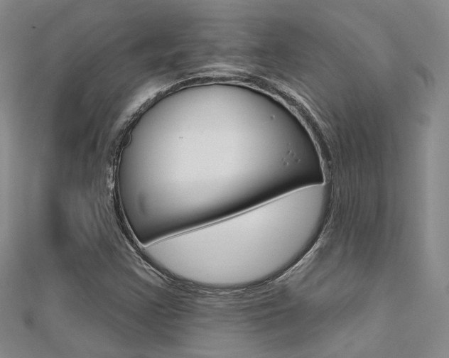 X0000112161355200908070930