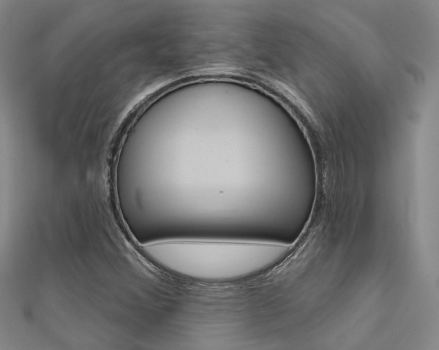X0000112161356200908070930