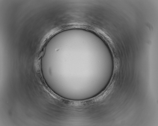X0000112161357200908070930