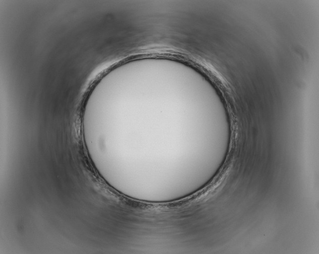 X0000112161358200908070930