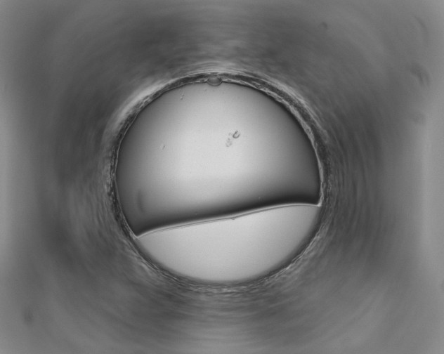 X0000112161359200908070930