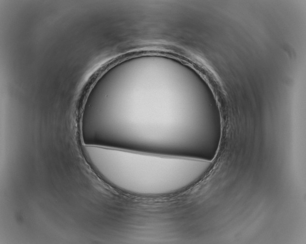 X0000112161360200908070930