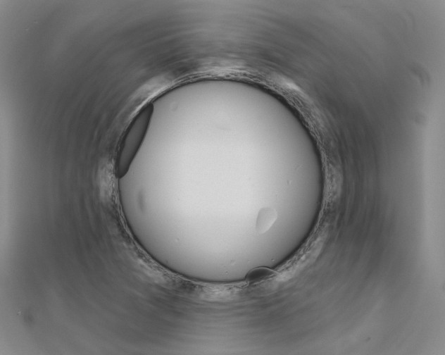 X0000112161361200908070930