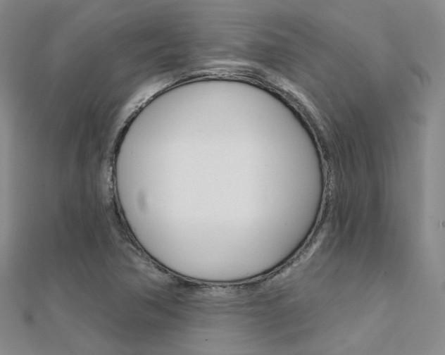 X0000112161362200908070930