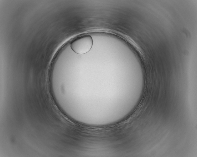 X0000112161364200908070930