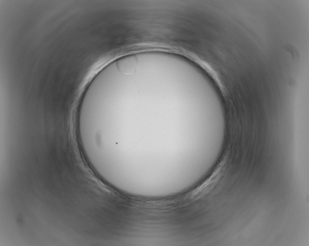 X0000112161365200908070930