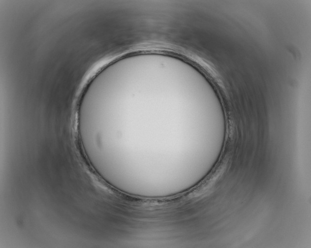 X0000112161366200908070930