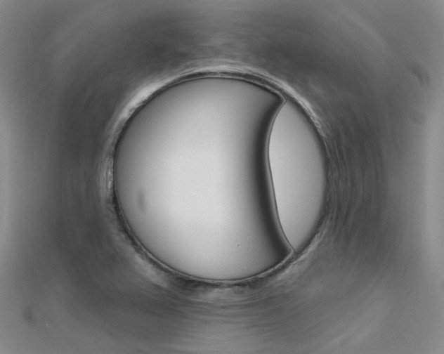X0000112161367200908070930