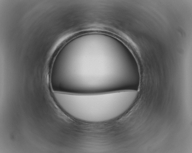 X0000112161368200908070930