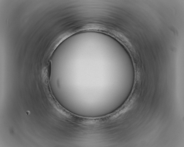 X0000112161369200908070930