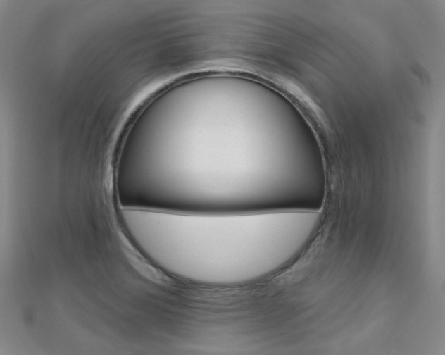 X0000112161372200908070930