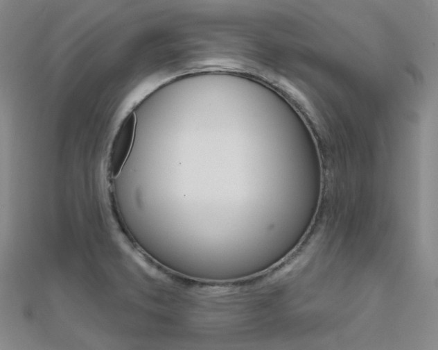 X0000112161373200908070930