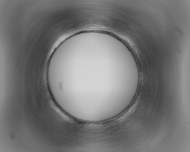 X0000112161374200908070929