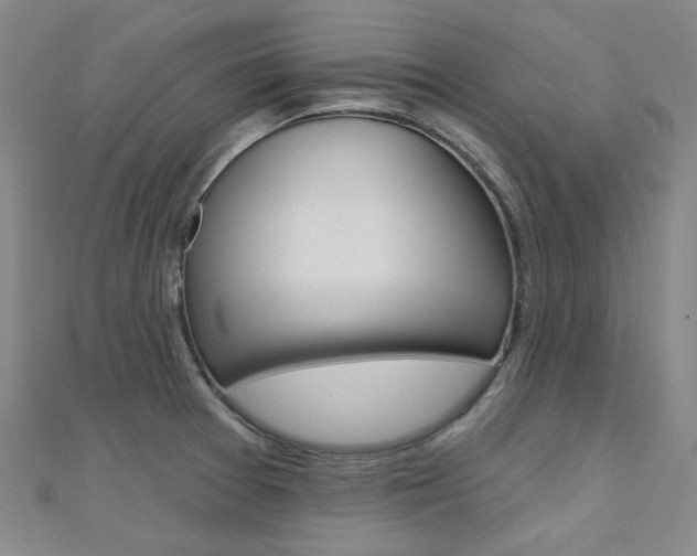 X0000112161377200908070929