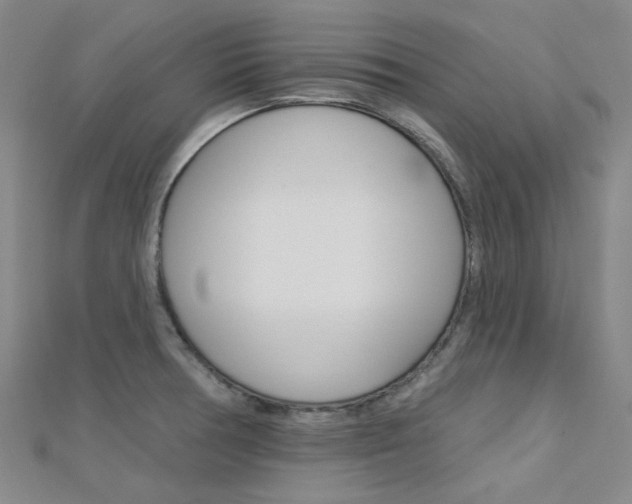 X0000112161378200908070929