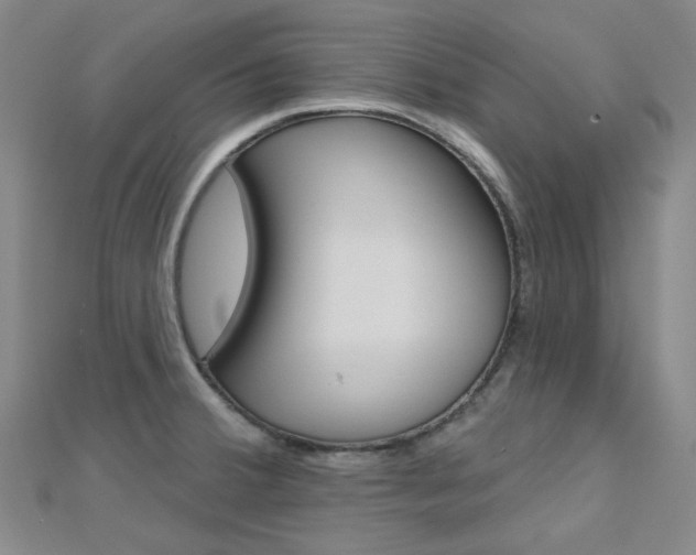 X0000112161380200908070929