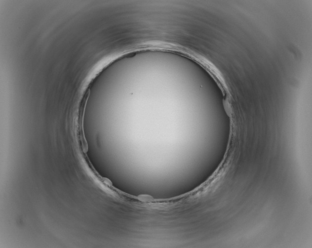 X0000112161381200908070929